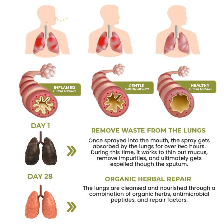 NATURAL HERBAL SPRAY FOR LUNG AND RESPIRATORY SUPPORT