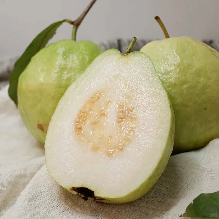 🌿 (New Harvest) Organic Pink Guava Seeds | 🔥Pre-Primed for High Germination (99% Germination)