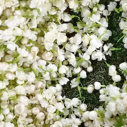 🔥LAST DAY Promotion 20% OFF 🌸Beautiful  Jasmine Potted Plant (Can be planted in winter)