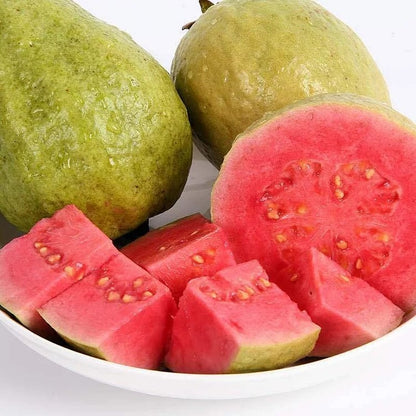 🌿 (New Harvest) Organic Pink Guava Seeds | 🔥Pre-Primed for High Germination (99% Germination)