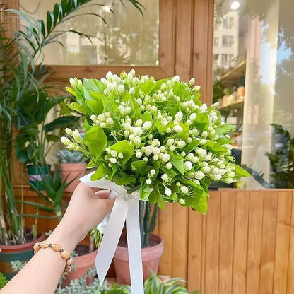 🔥LAST DAY Promotion 20% OFF 🌸Beautiful  Jasmine Potted Plant (Can be planted in winter)