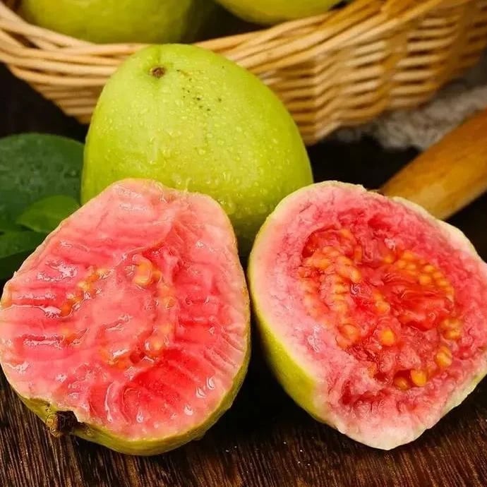 🌿 (New Harvest) Organic Pink Guava Seeds | 🔥Pre-Primed for High Germination (99% Germination)