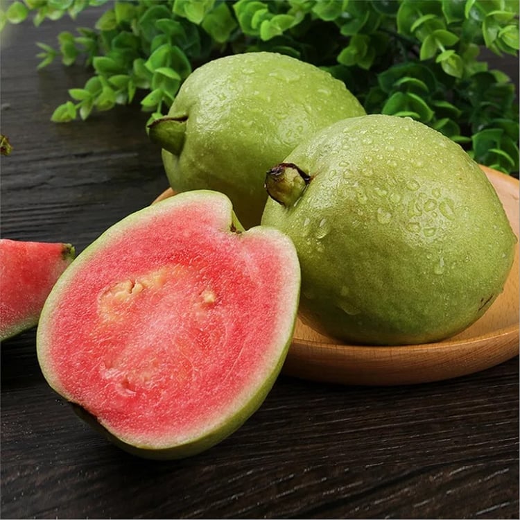 🌿 (New Harvest) Organic Pink Guava Seeds | 🔥Pre-Primed for High Germination (99% Germination)