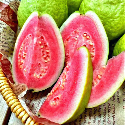 🌿 (New Harvest) Organic Pink Guava Seeds | 🔥Pre-Primed for High Germination (99% Germination)