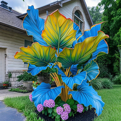 Giant Caladium Bulbs