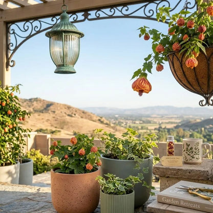 🌿Spring Sale-Premium Abutilon Flower Seeds-🐦 ATTRACTS HUMMINGBIRDS