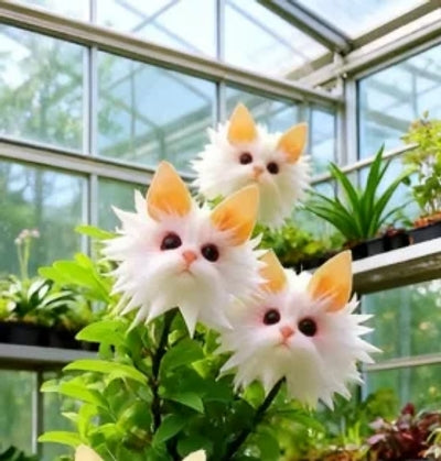 ✨LAST DAY 60% OFF - Magical plants! Cat's eye dazzling series